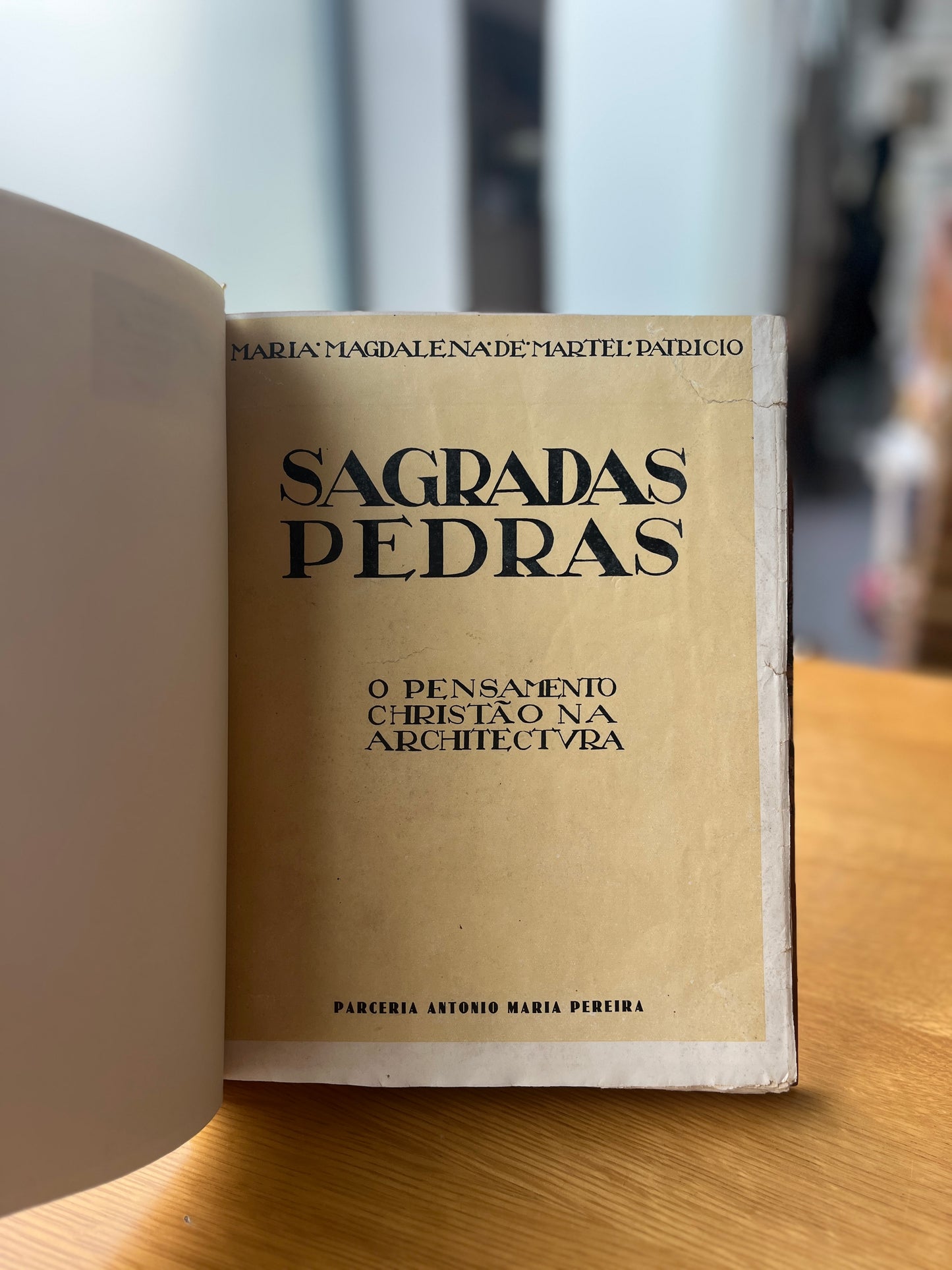 SAGRADAS PEDRAS O PENSAMENTO CHRISTÃO NA ARCHITECTURA