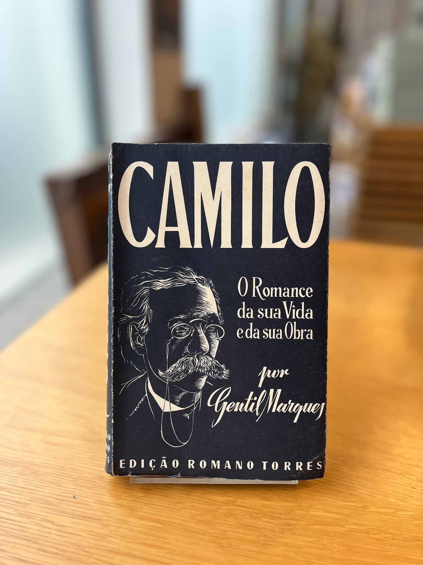 CAMILO - O ROMANCE DA SUA VIDA E OBRA