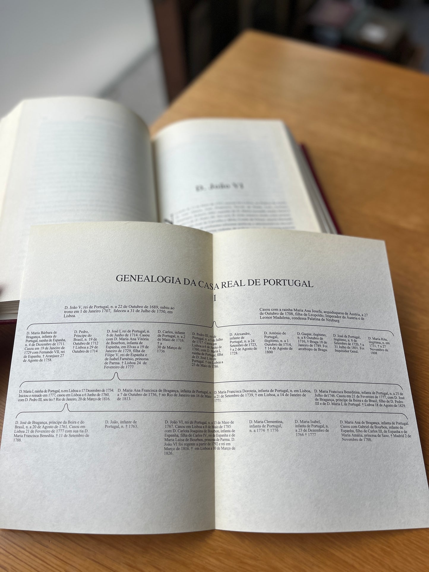 HISTÓRIA GENEALÓGICA DA CASA REAL PORTUGUESA - VOLUME XV