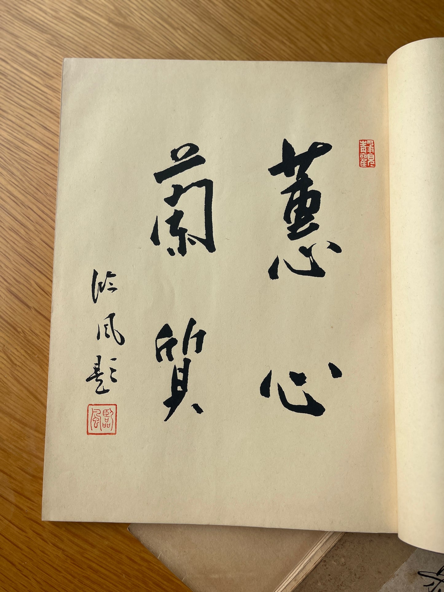 ÁLBUM DE BONECOS JAPONESES