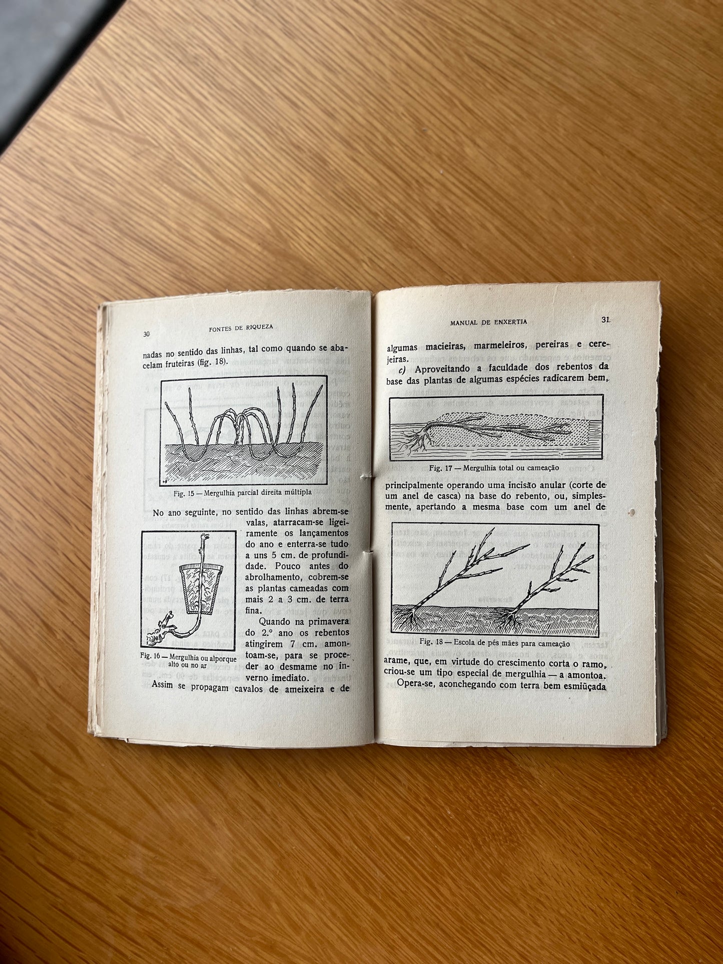 MANUAL DE ENXERTIA