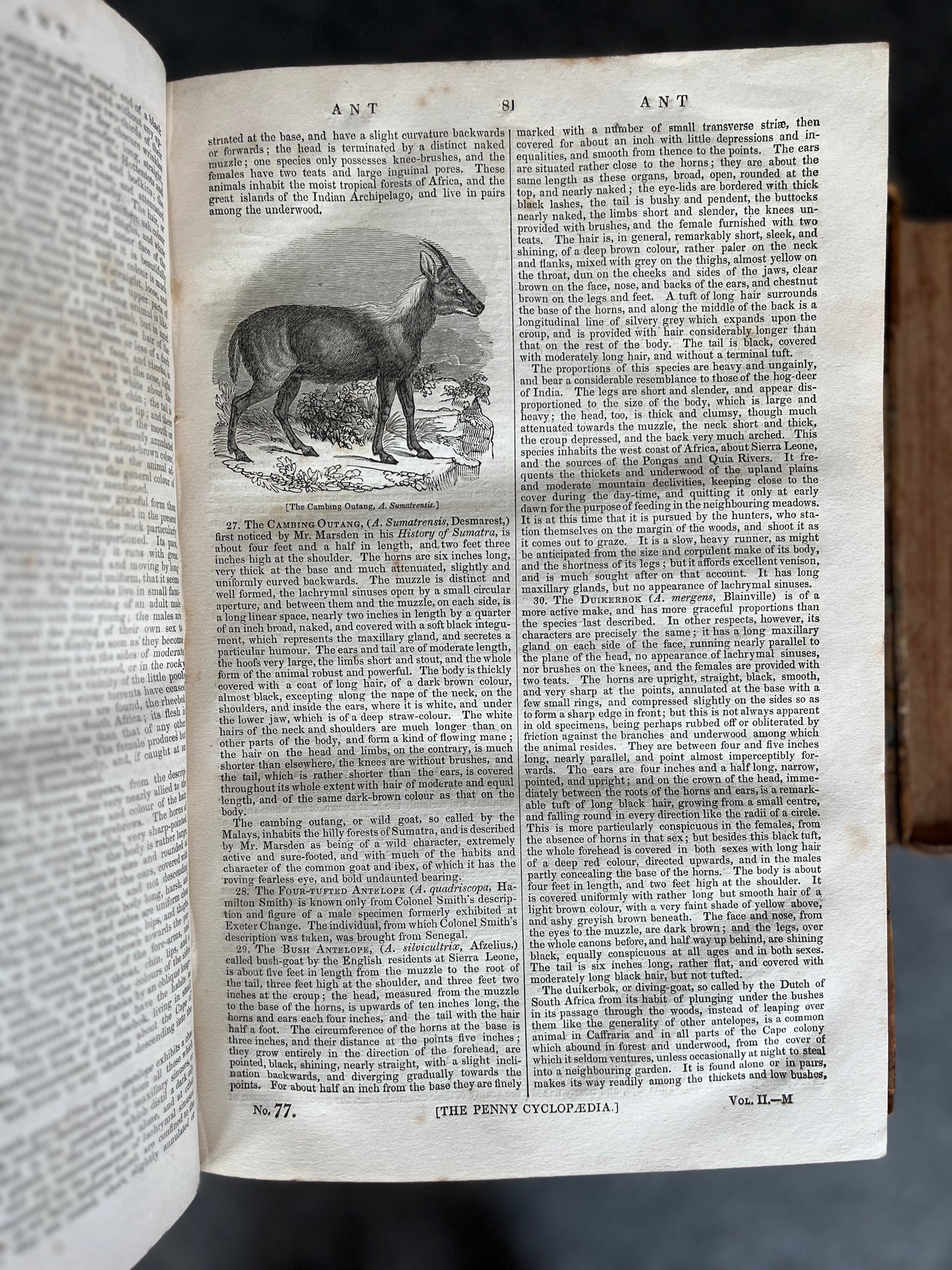 THE PENNY CYCLOPAEDIA, 28 VOL.
