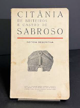 CITÂNIA DE BRITEIROS E CASTRO DE SABROSO