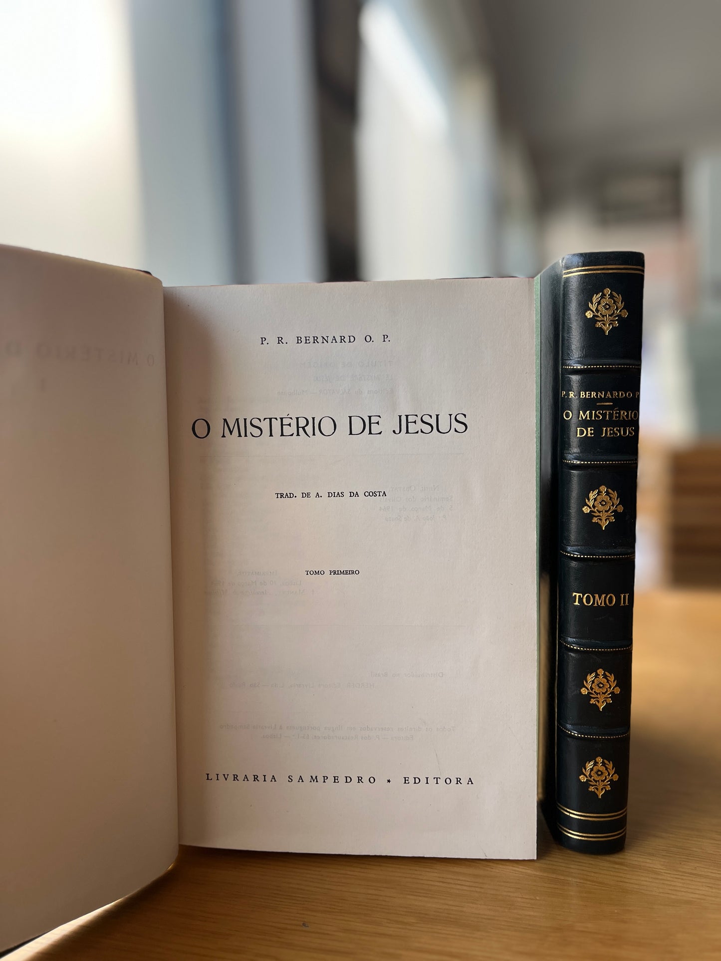 O MISTÉRIO DE JESUS, 2 VOL.