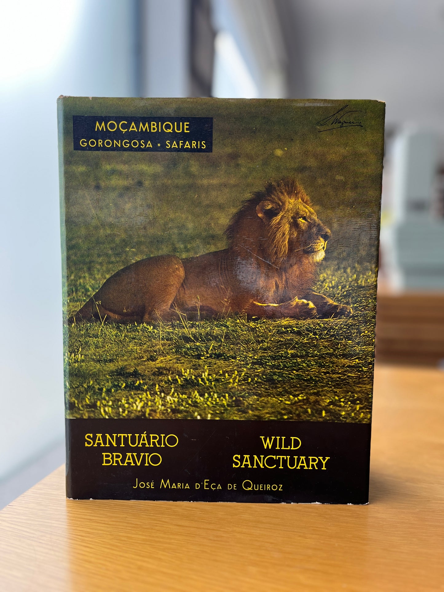 SANTUÁRIO BRAVIO - WILD SANCTUARY