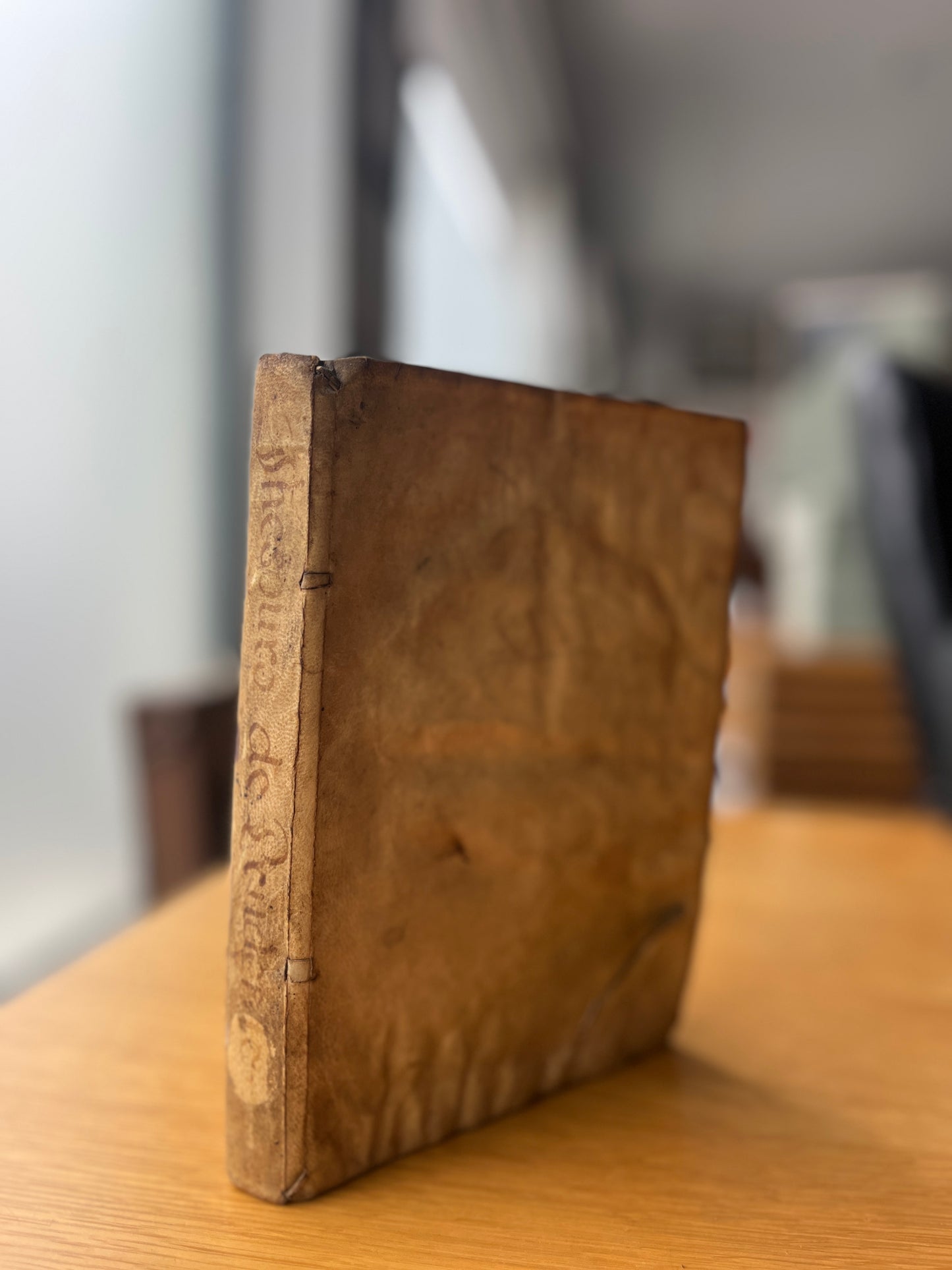 THESOURO DE PRUDENTES