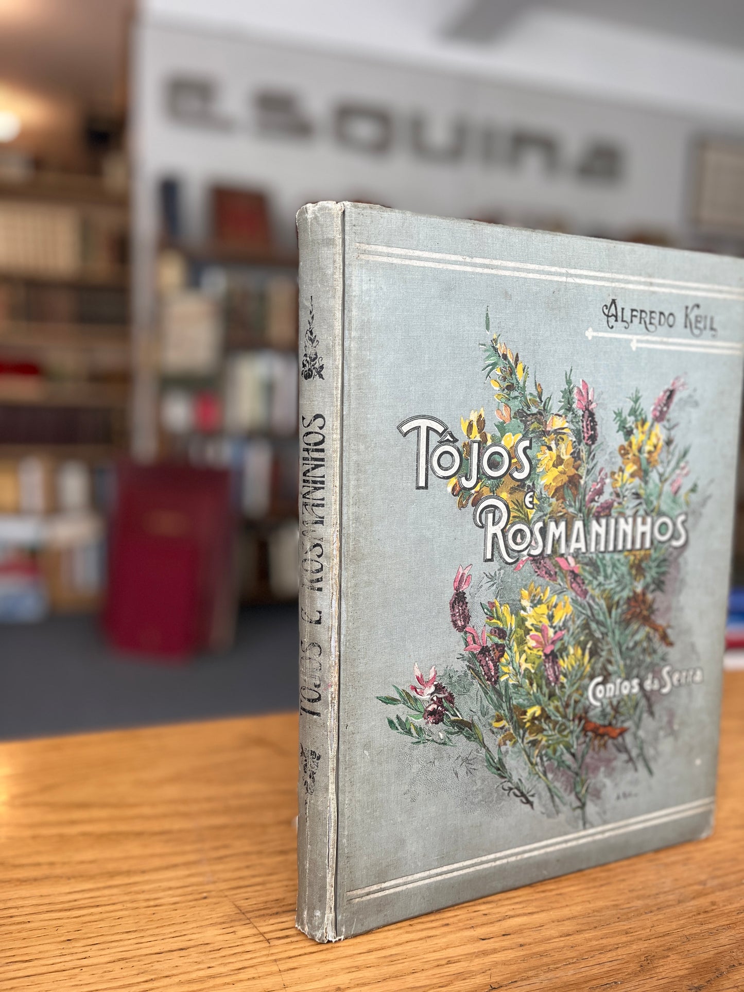 TÔJOS E ROSMANINHOS