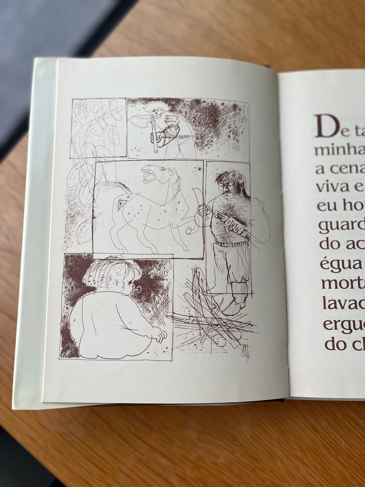 O MENINO GRAPIÚNA