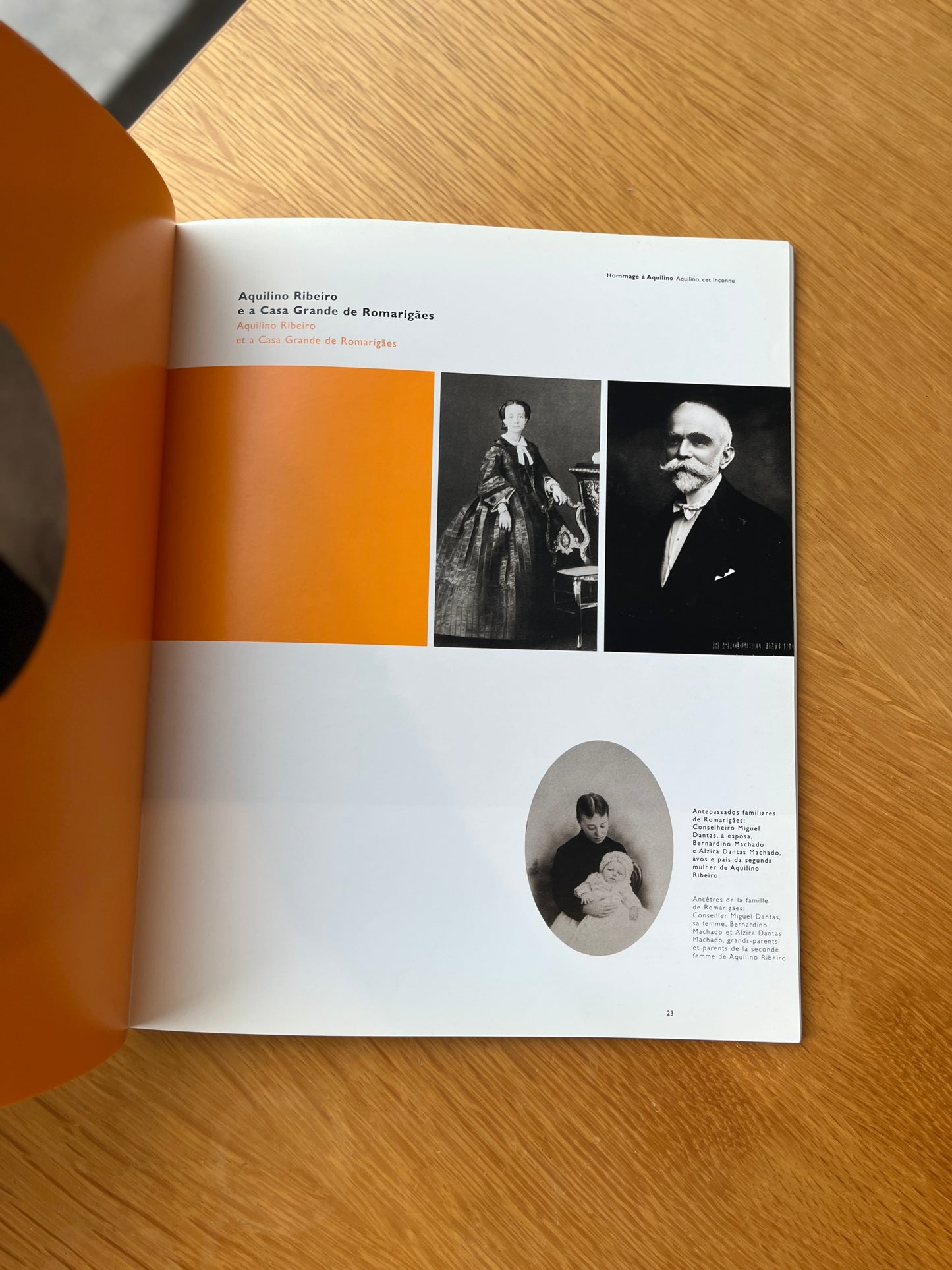 HOMENAGEM A AQUILINO - CATÁLOGO