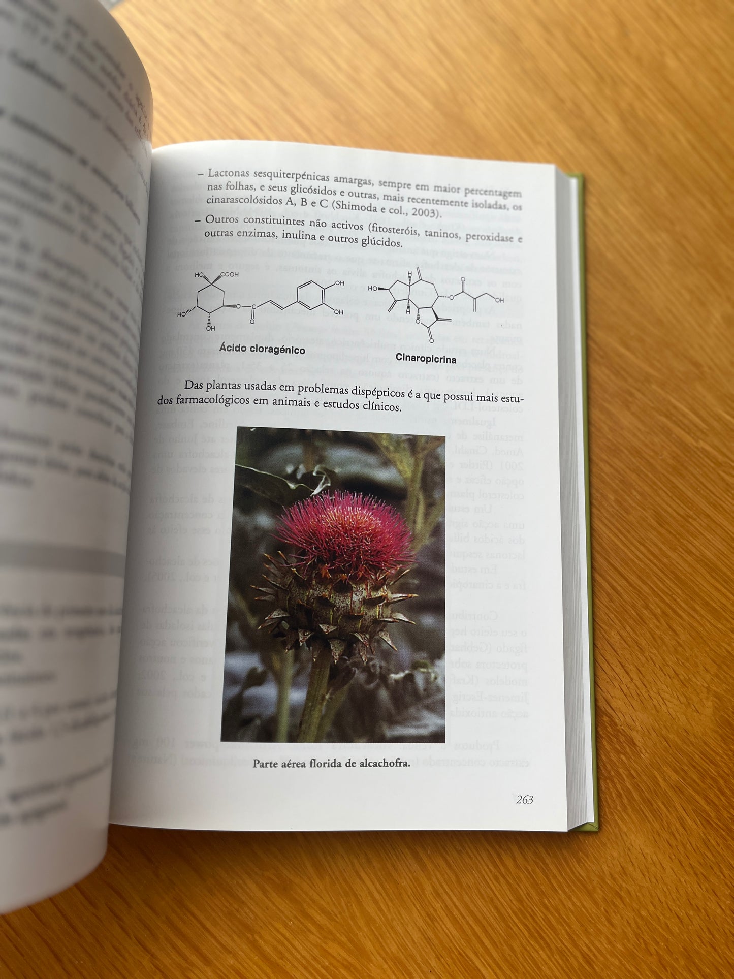 PLANTAS NA TERAPÊUTICA, FARMACOLOGIA E ENSAIOS CLÍNICOS