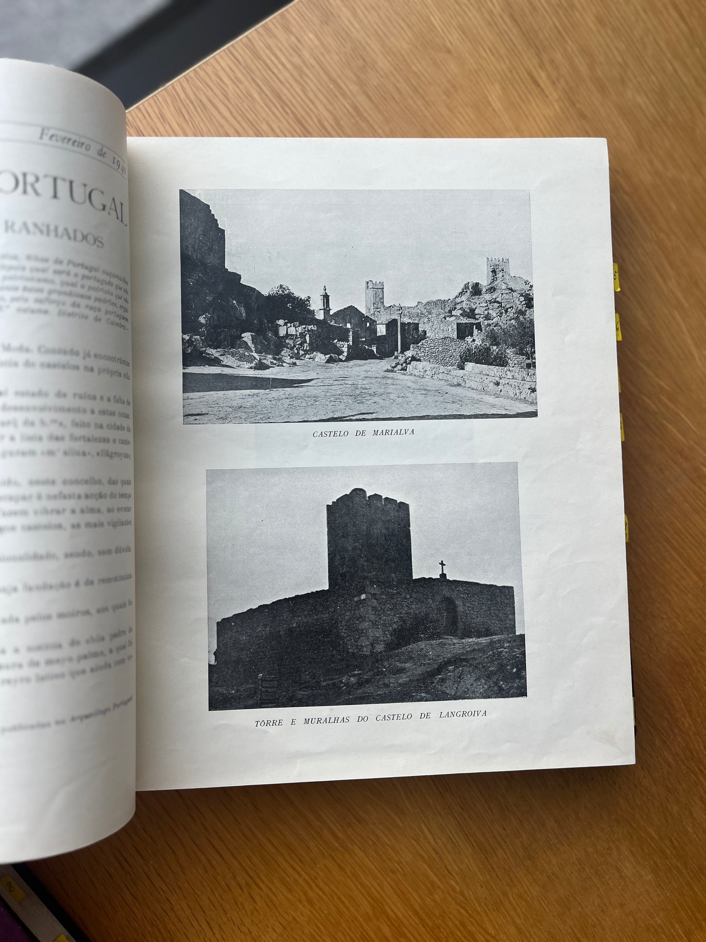REVISTA DOS CENTENÁRIOS