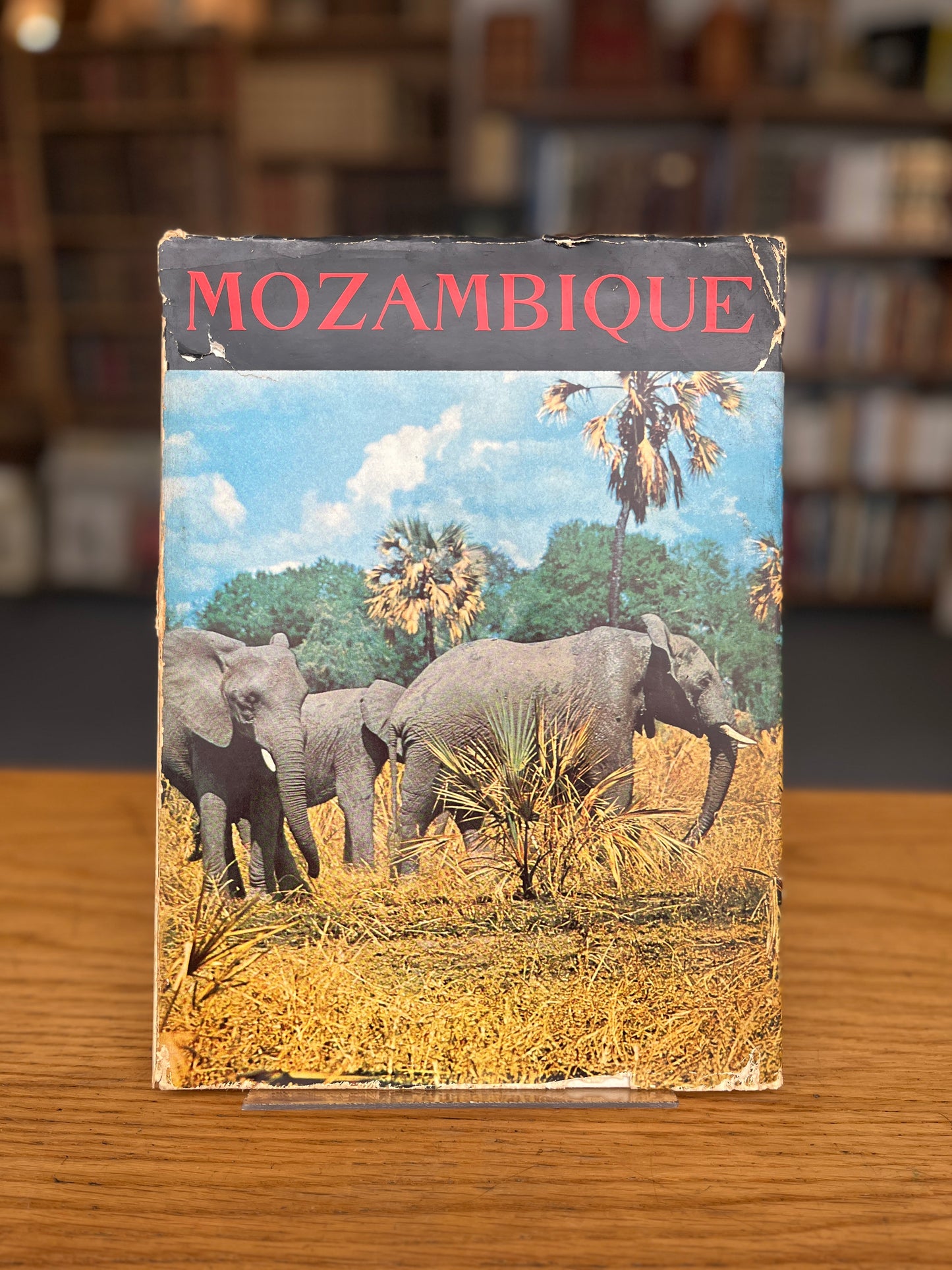 MOZAMBIQUE