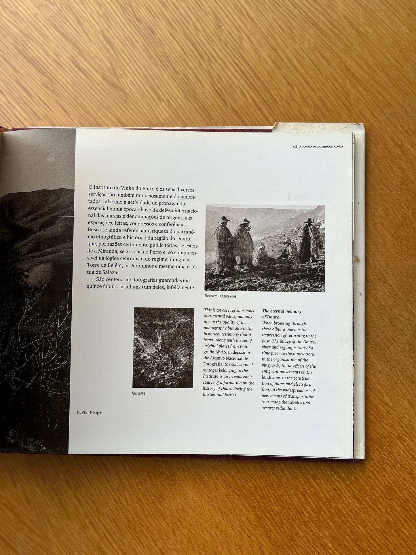 O DOURO DE DOMINGOS ALVÃO