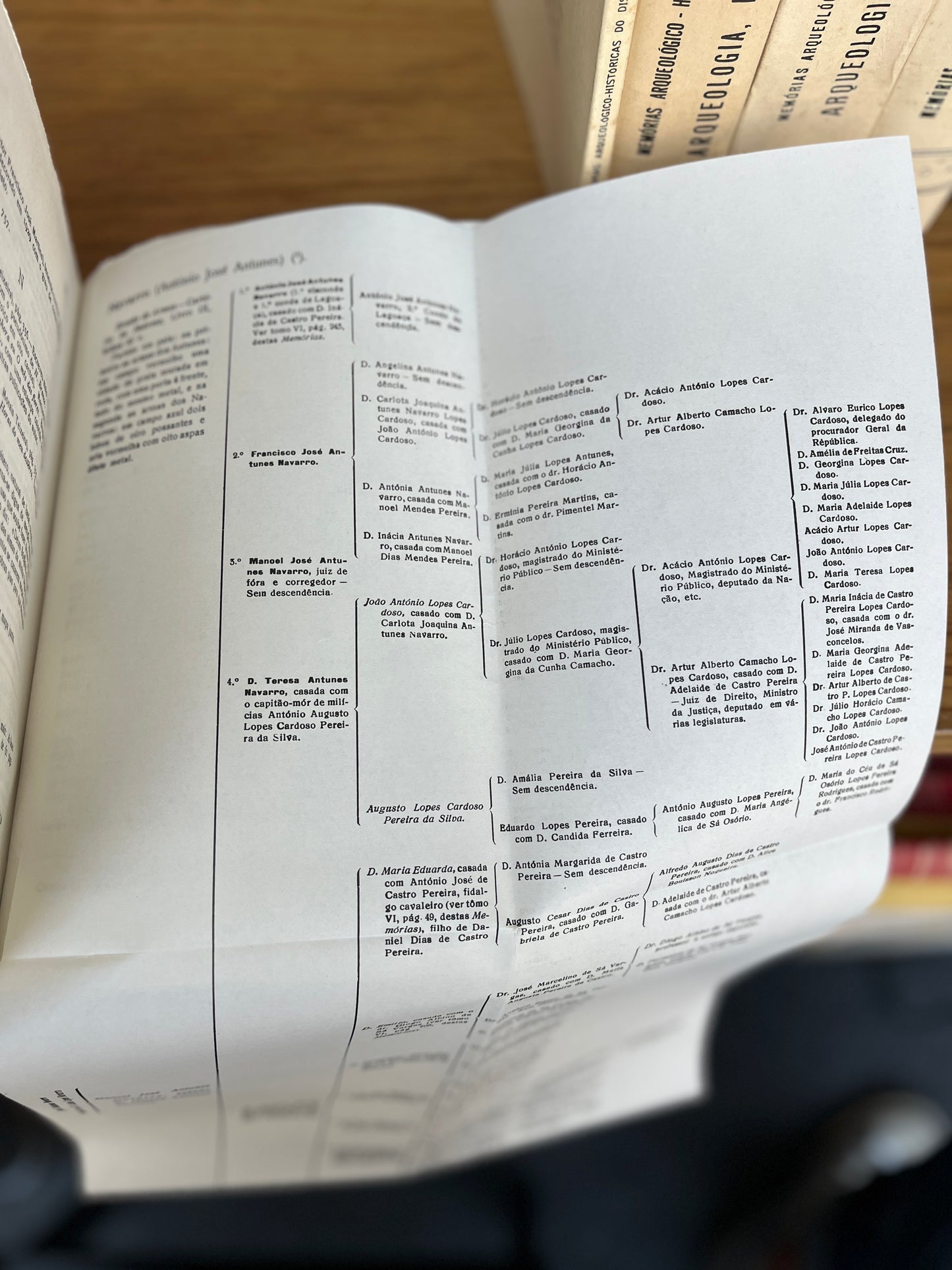 MEMÓRIAS ARQUEOLÓGICO-HISTÓRICAS DO DISTRITO DE BRAGANÇA