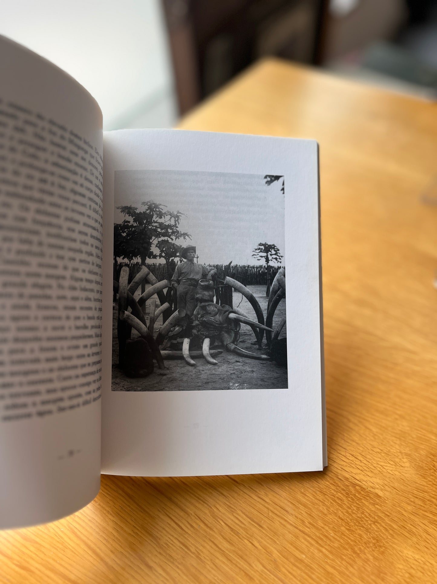 MEMÓRIAS DE UM CAÇADOR DE ELEFANTES