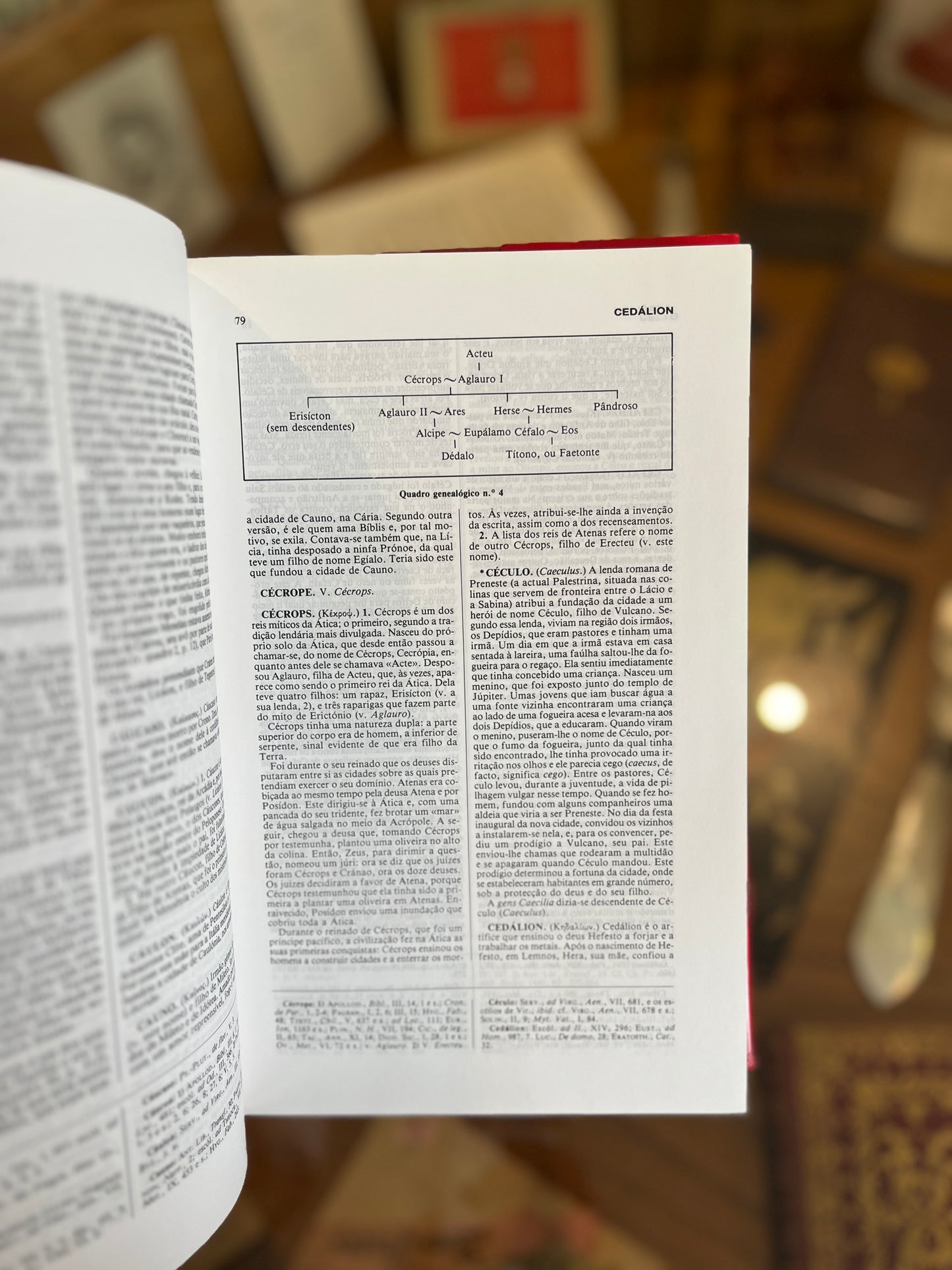 DICIONÁRIO DA MITOLOGIA GREGA E ROMANA