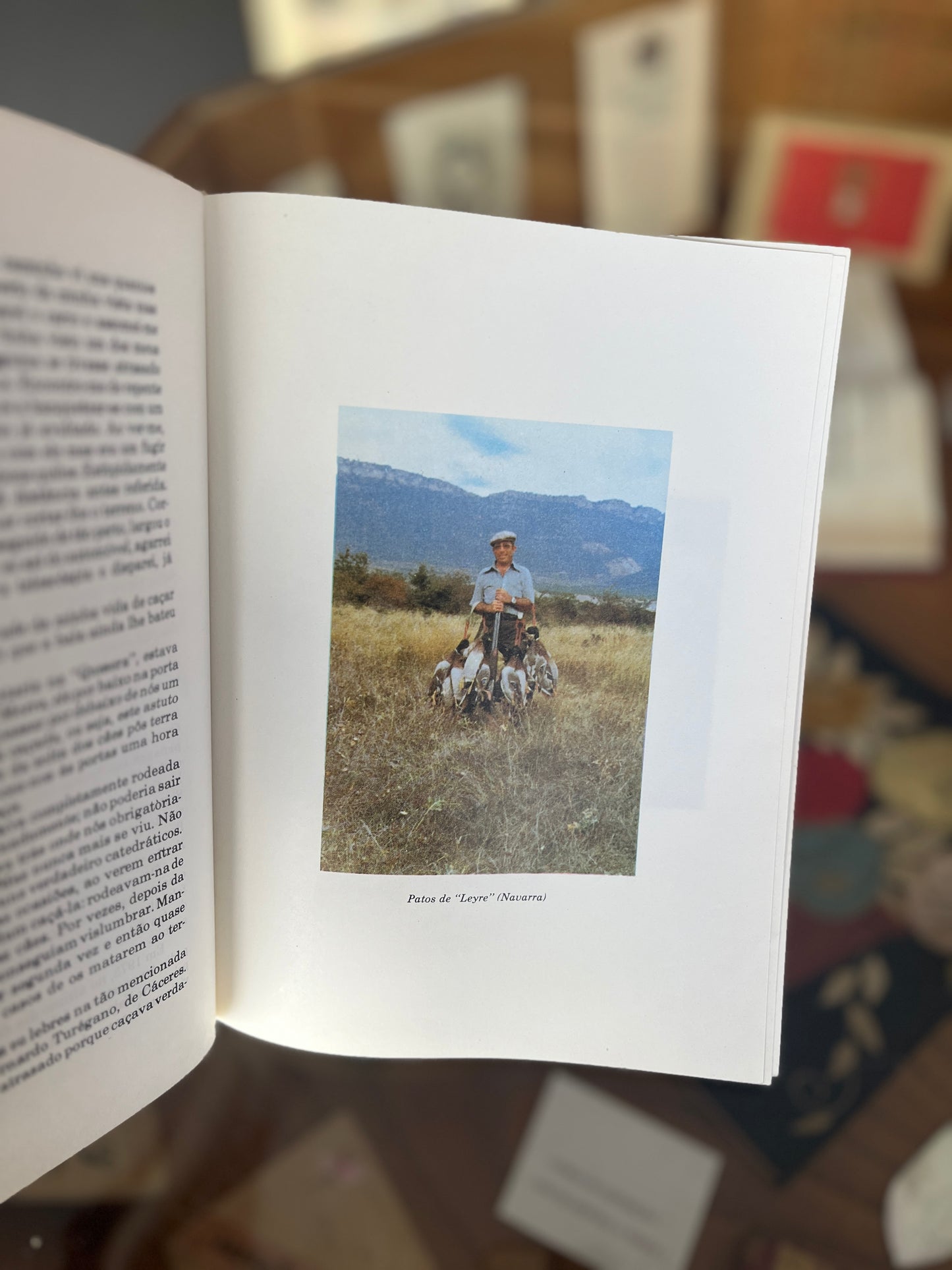 MEMÓRIAS DUM CAÇADOR