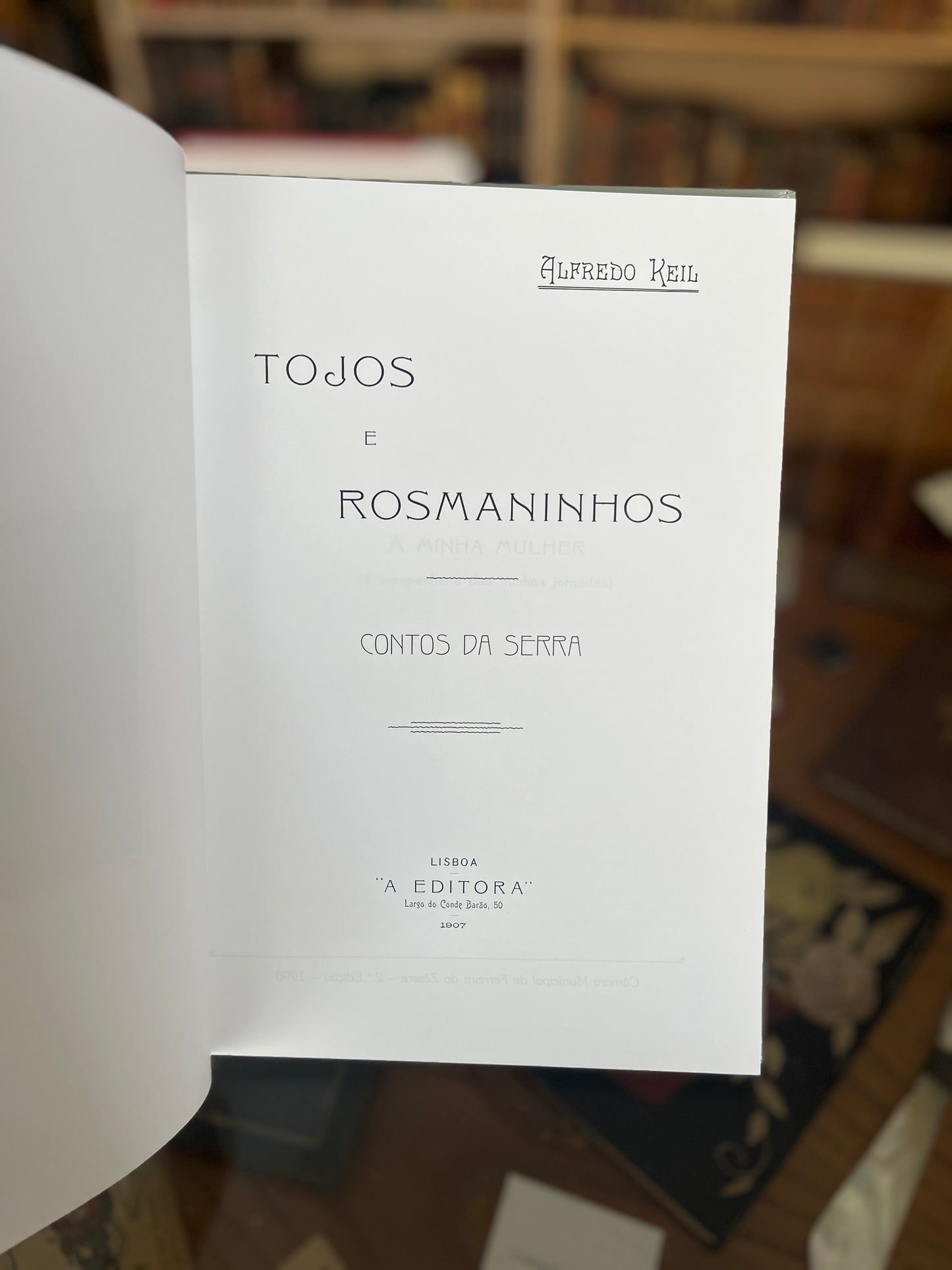 TÔJOS E ROSMANINHOS