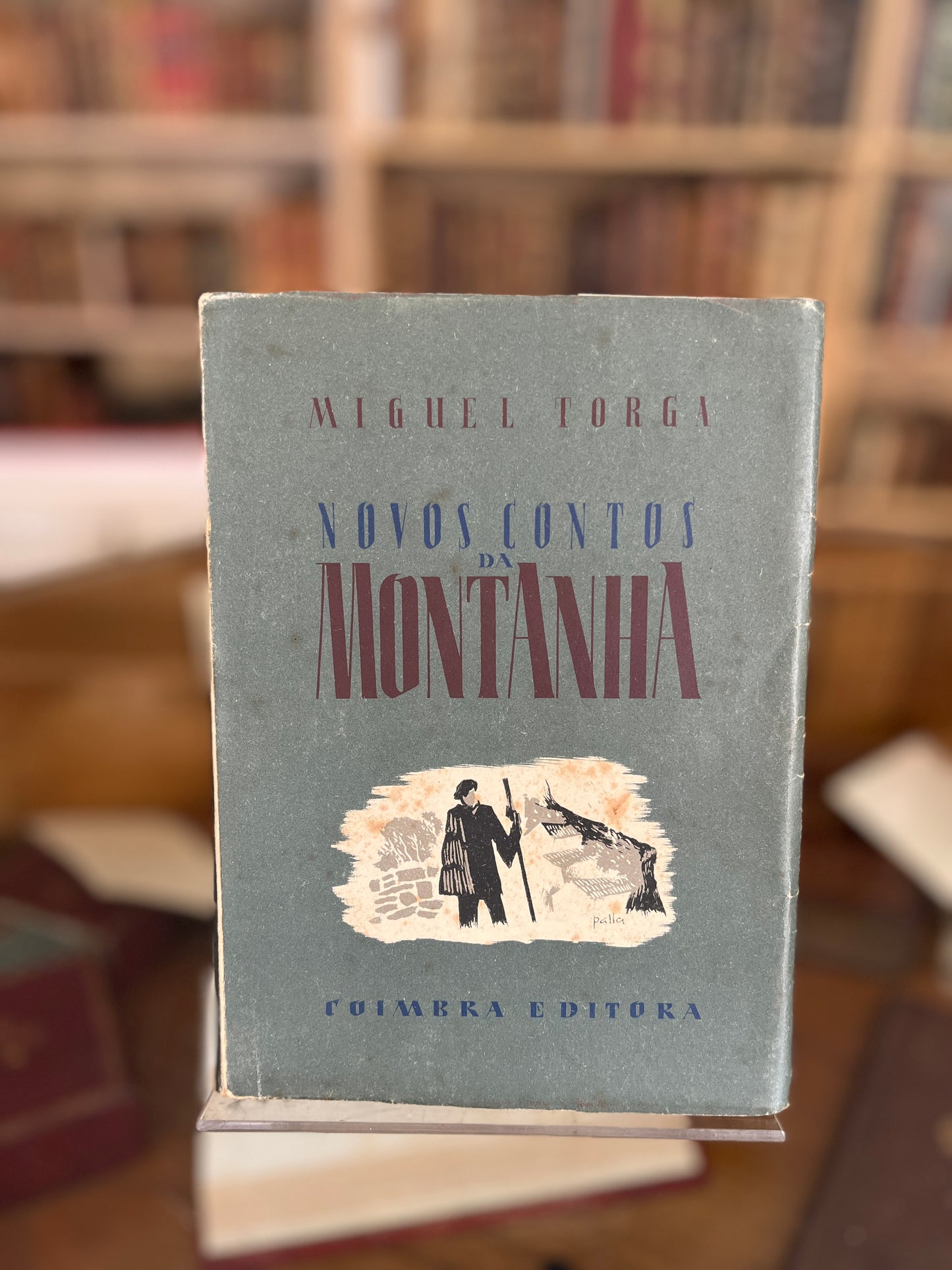 NOVOS CONTOS DA MONTANHA