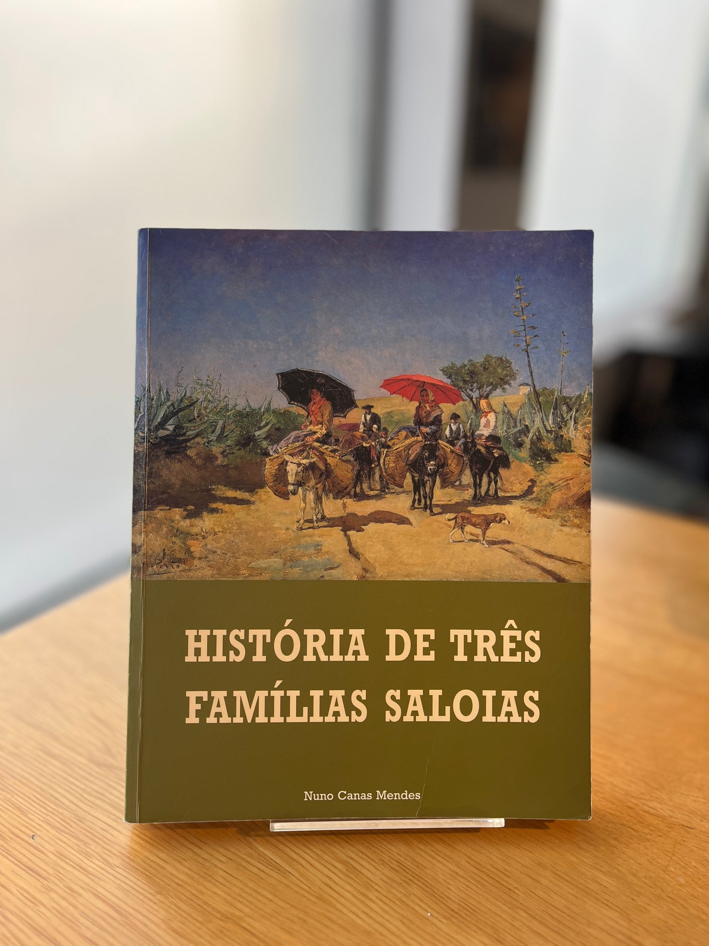 HISTÓRIA DE TRÊS FAMÍLIAS SALOIAS