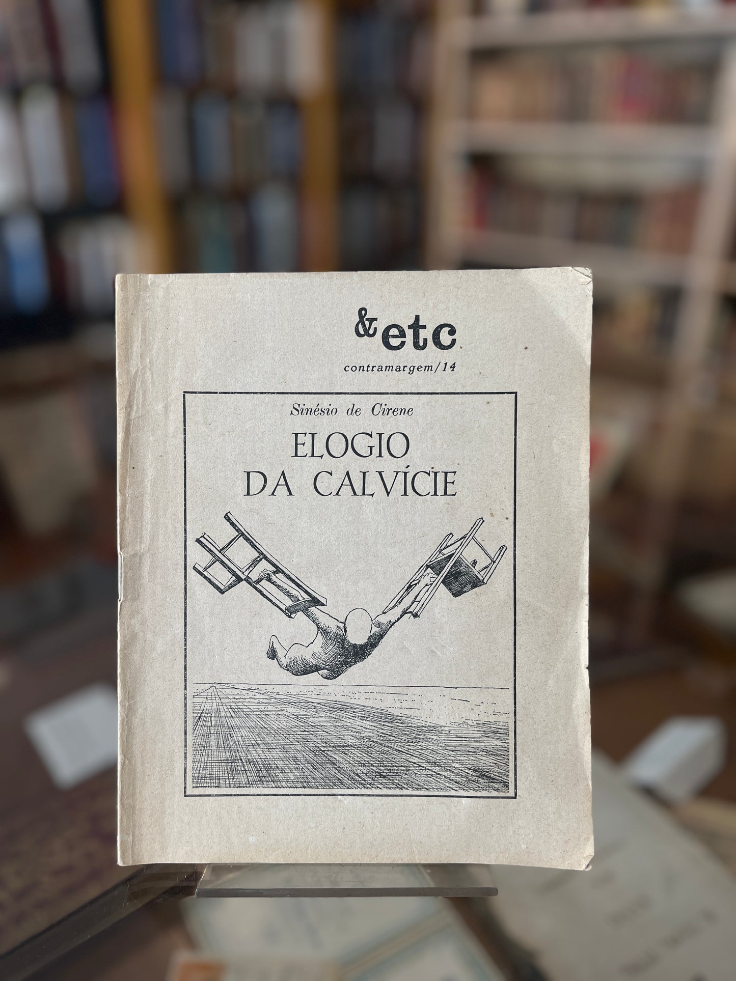 ELOGIO DA CALVÍCIE