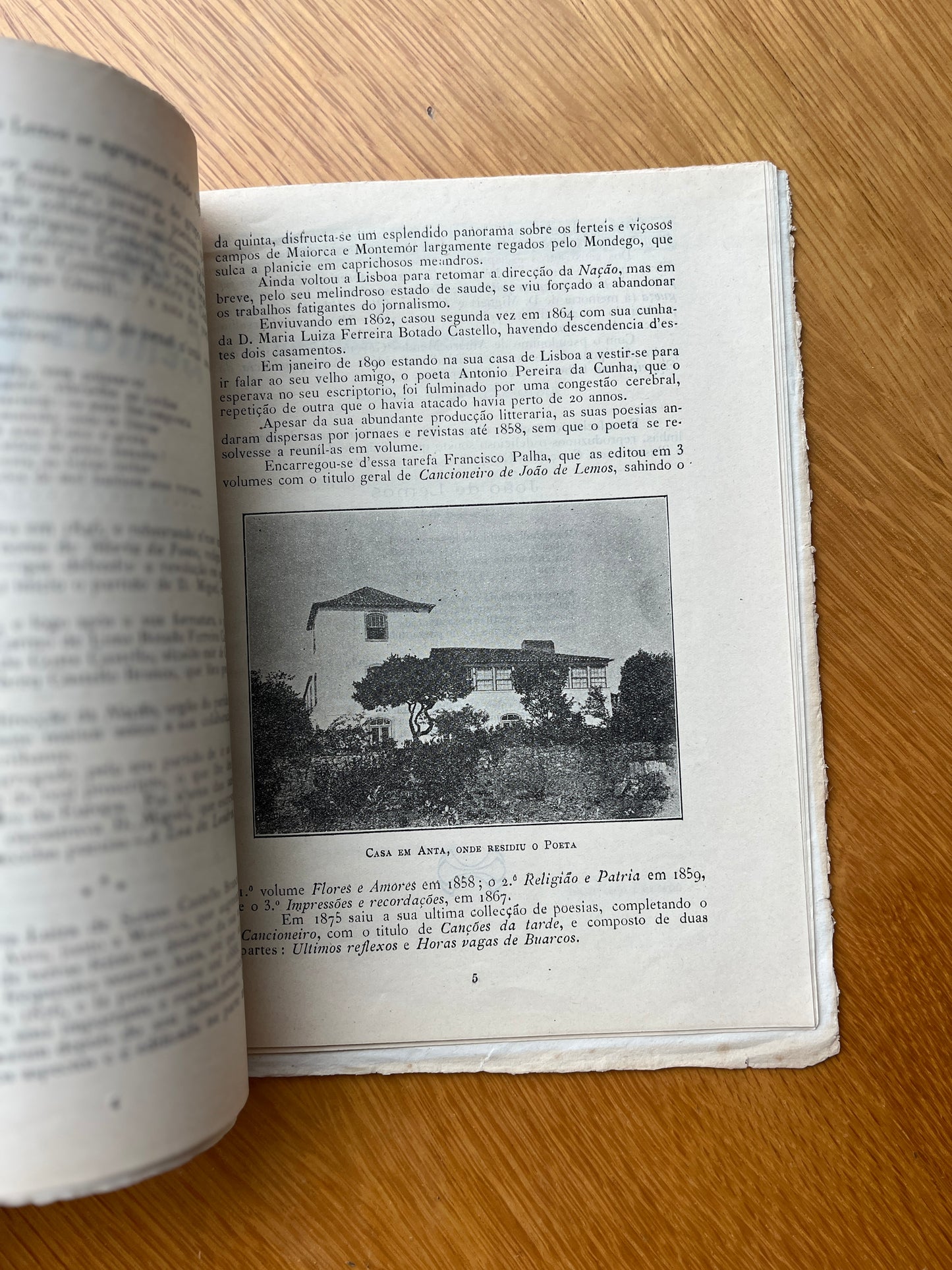 REVISTA DA FIGUEIRA Nº 1