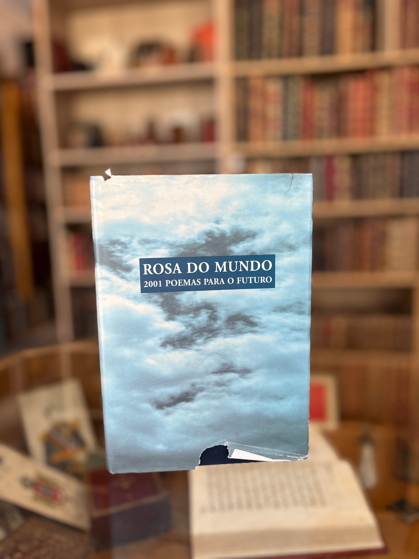 ROSA DO MUNDO - 2001 POEMAS PARA O FUTURO