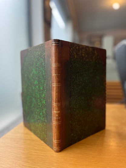 A IRMANDADE DE S. LUCAS