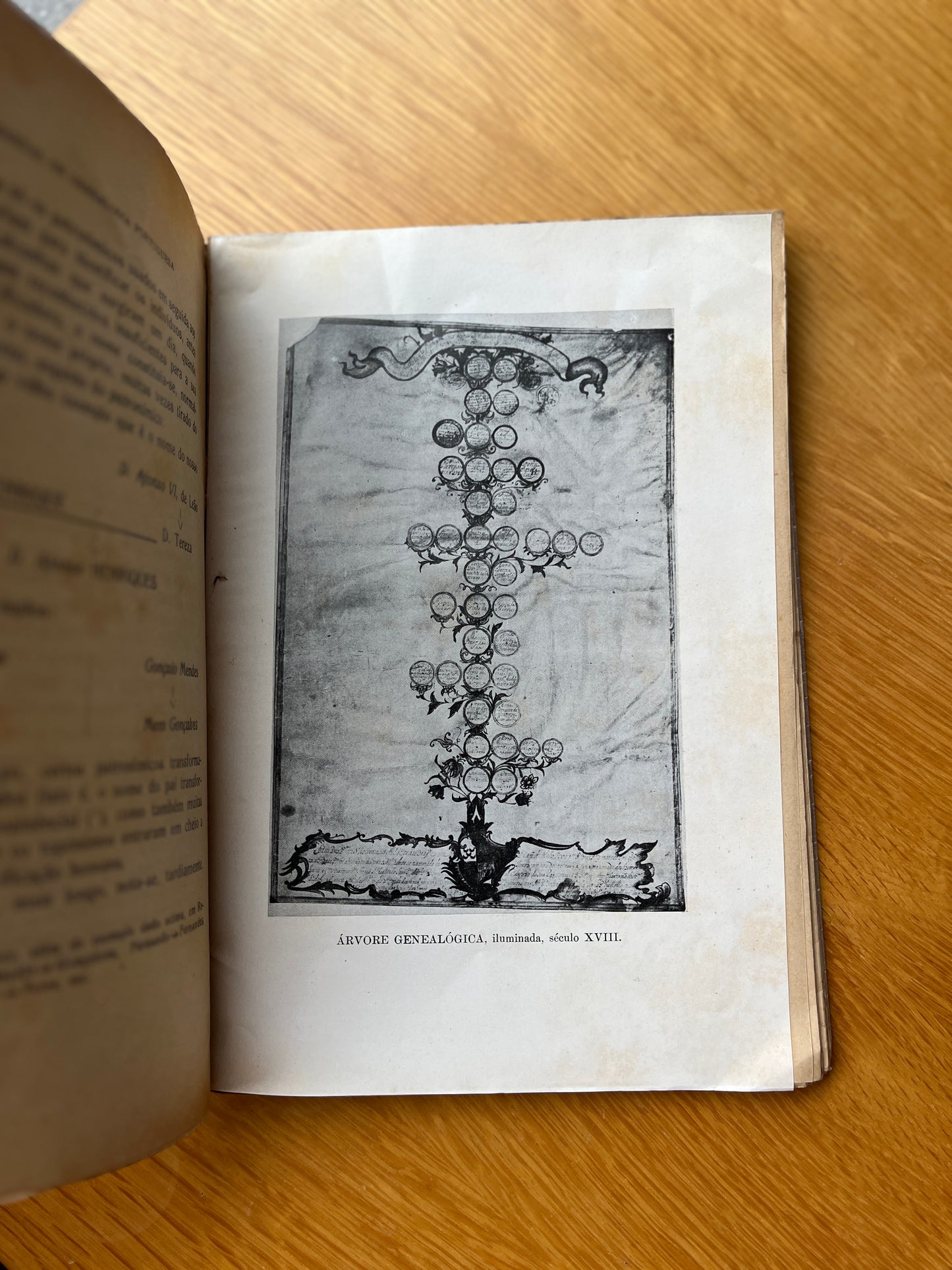 MANUAL DE GENEALOGIA PORTUGUESA