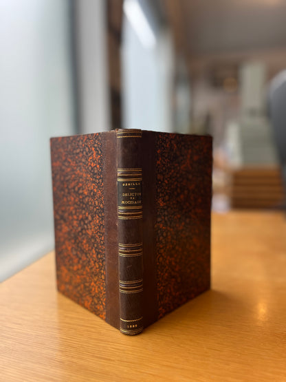 DELICTOS DA MOCIDADE