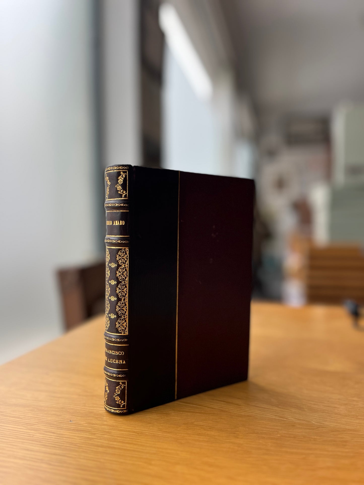 FRANCISCO DE LUCENA: SUA VIDA, MARTÍRIO E REABILITAÇÃO