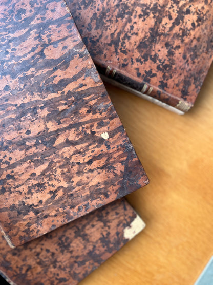 BIBLIOGRAPHIA NOBILIARCHICA PORTUGUEZA