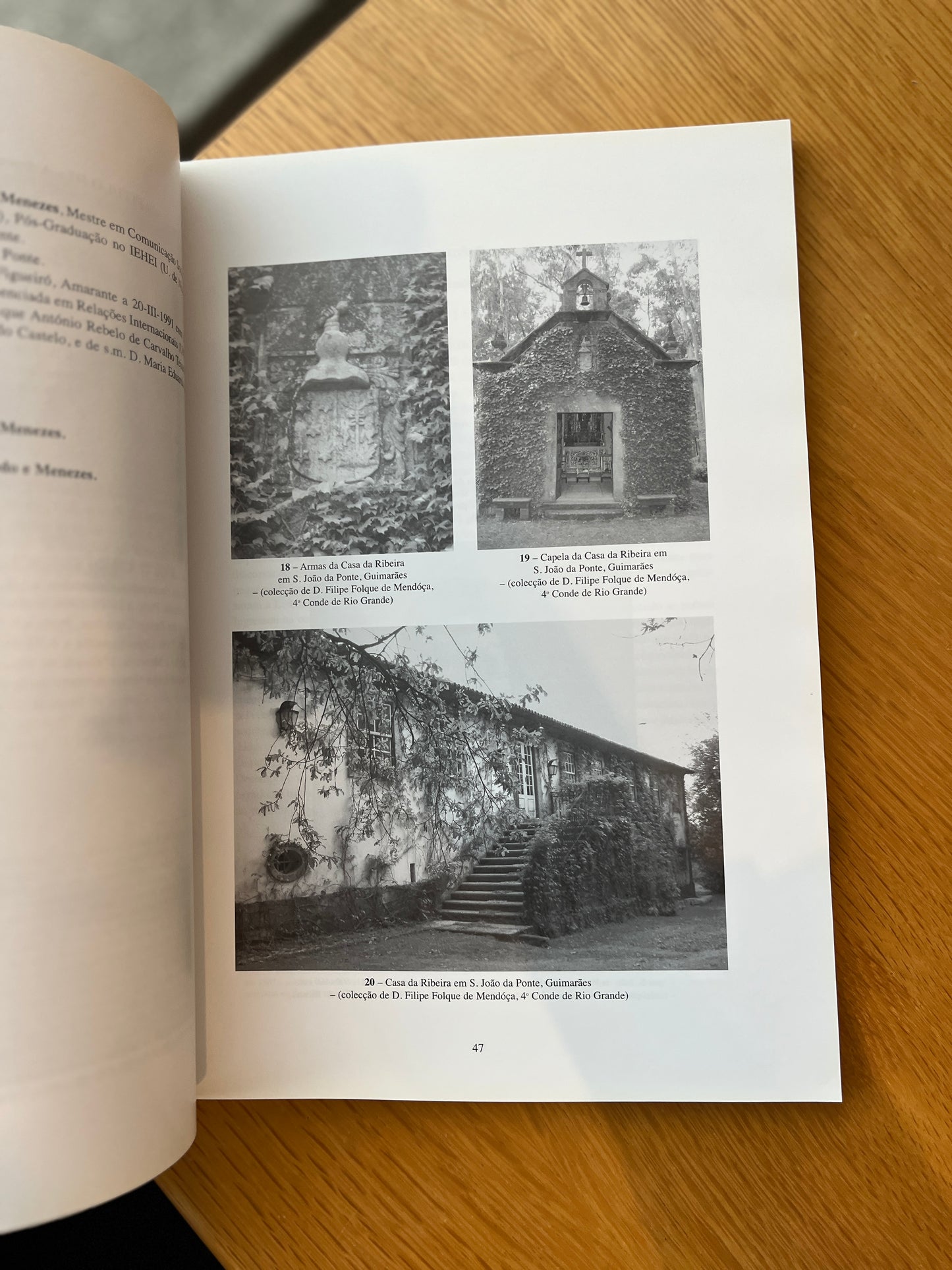 OS CONDES DE MARGARIDE E A SUA DESCENDÊNCIA