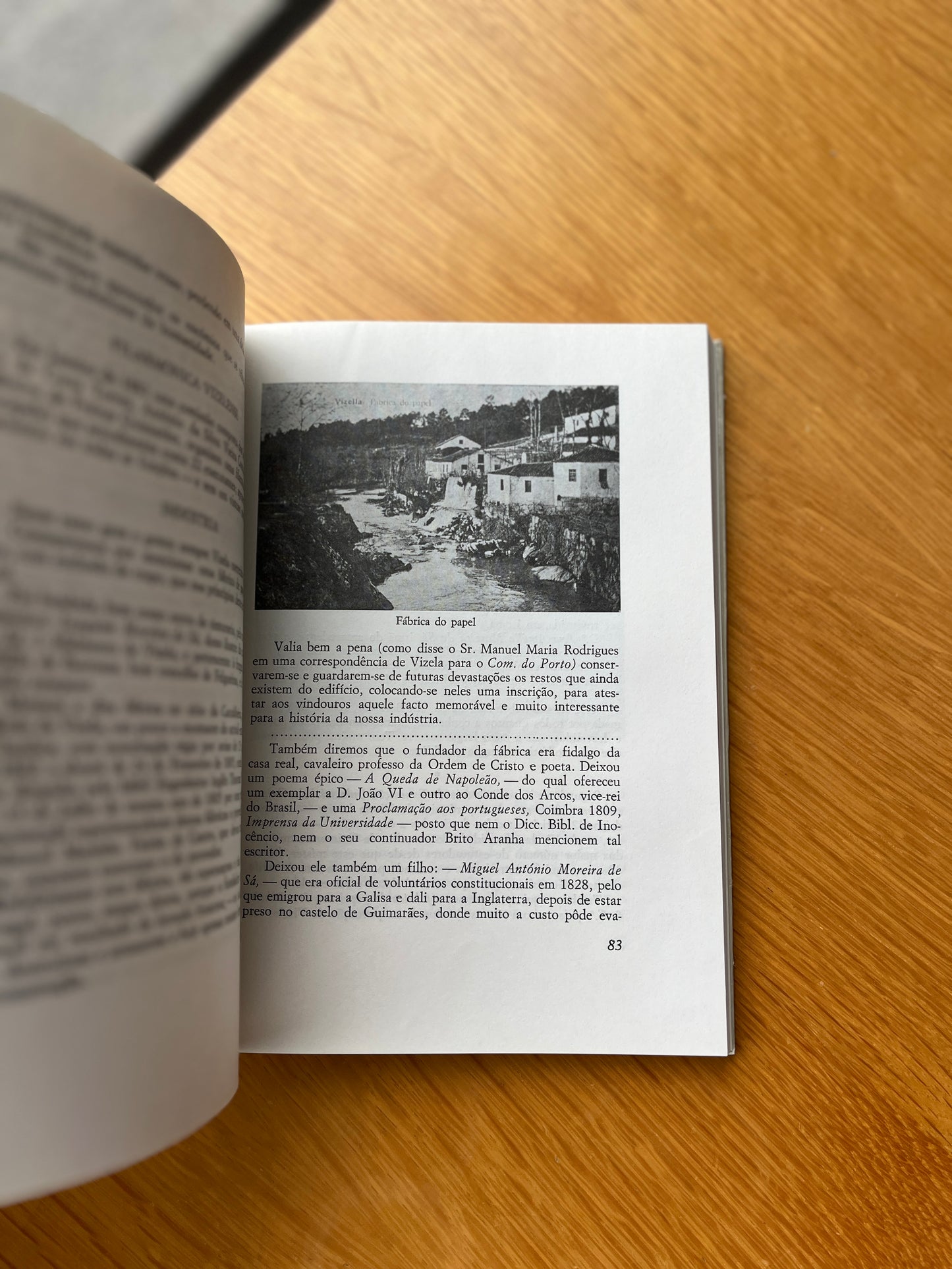 AVICELLA, ANTOLOGIA SOBRE VIZELA E SEU TERMO
