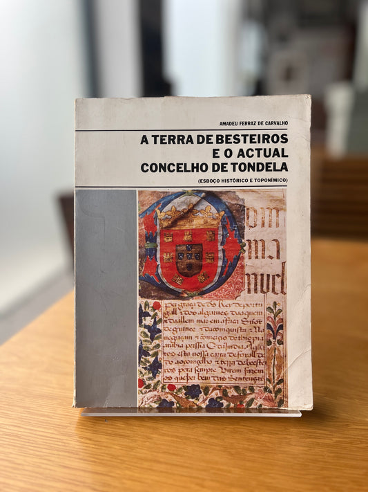 A TERRA DE BESTEIROS E O ACTUAL CONCELHO DE TONDELA