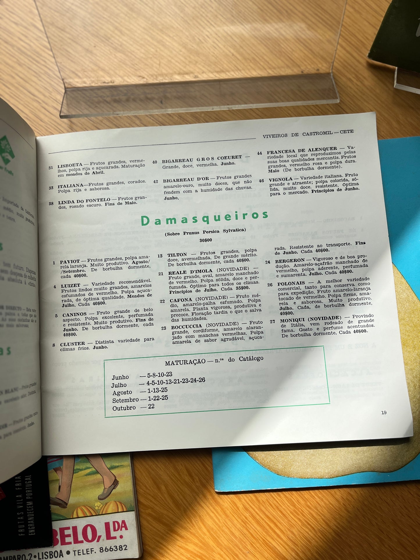 LOTE CATÁLOGOS DE VIVEIROS E FRUTA