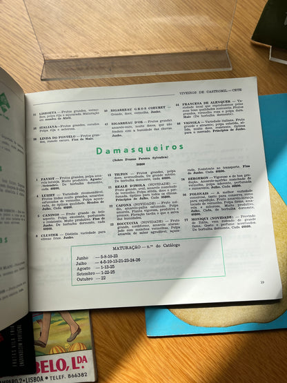 LOTE CATÁLOGOS DE VIVEIROS E FRUTA
