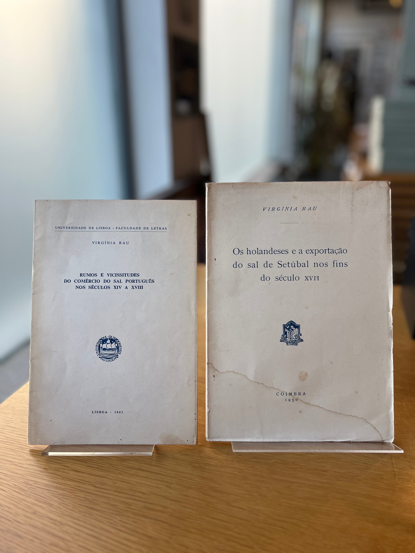 LOTE 2 OBRAS VIRGÍNIA RAU