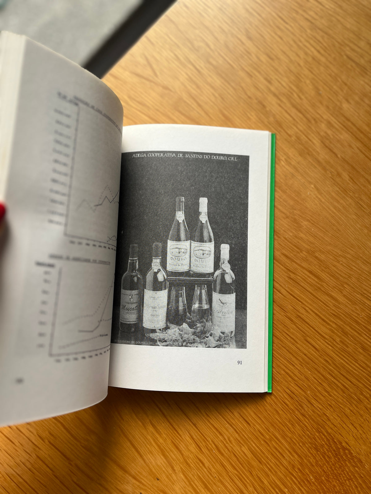 MONOGRAFIA DE SANFINS DO DOURO