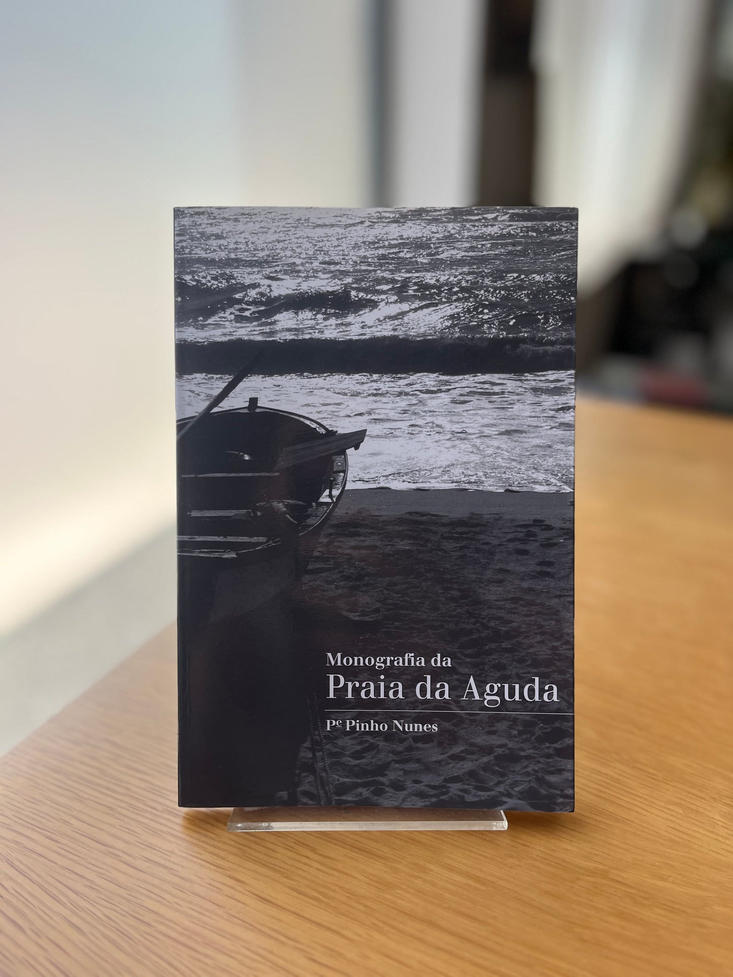 MONOGRAFIA DA PRAIA DA AGUDA