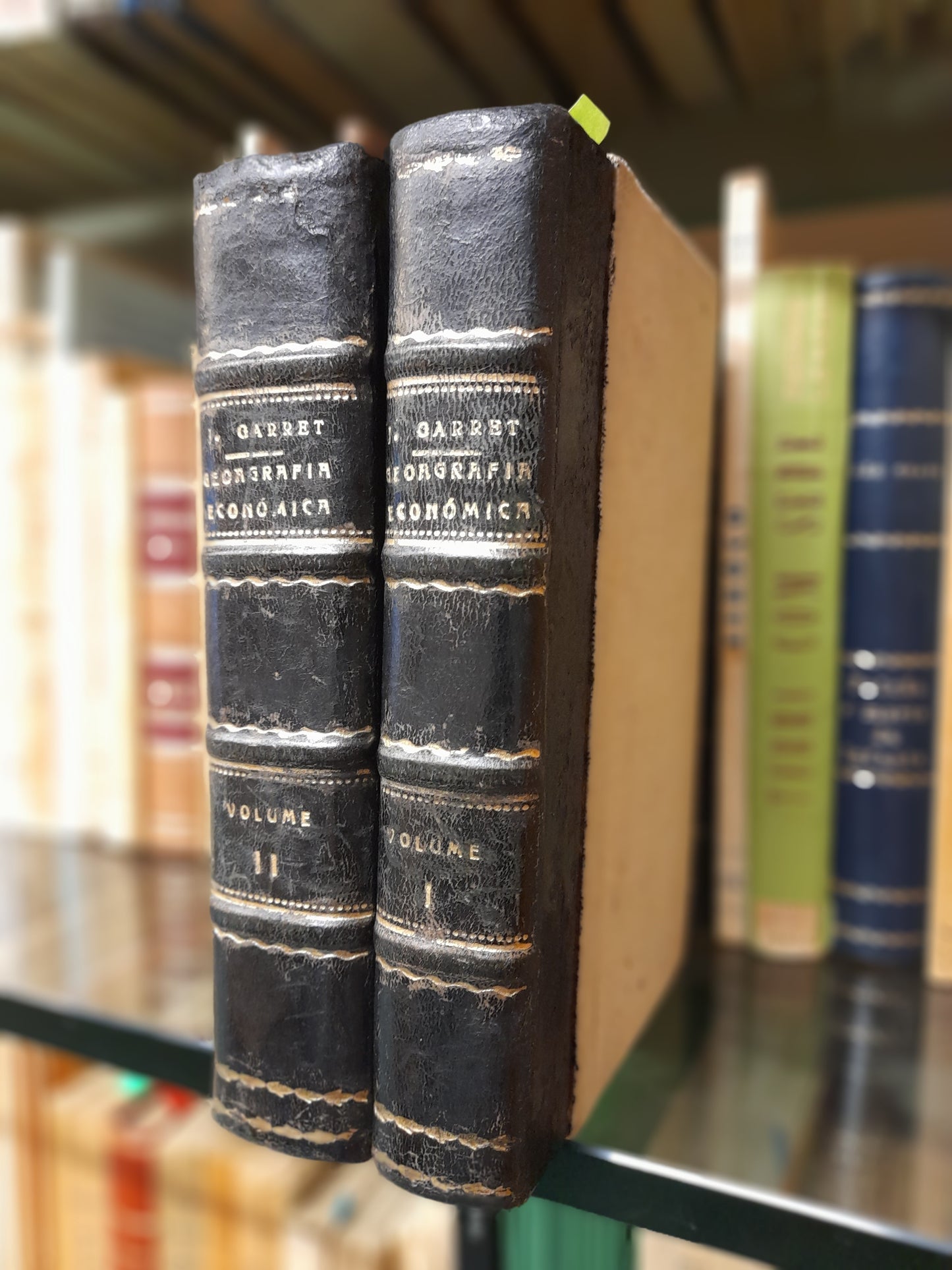 INTRODUÇÃO Á GEOGRAFIA ECONÓMICA