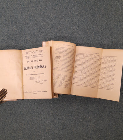 INTRODUÇÃO Á GEOGRAFIA ECONÓMICA