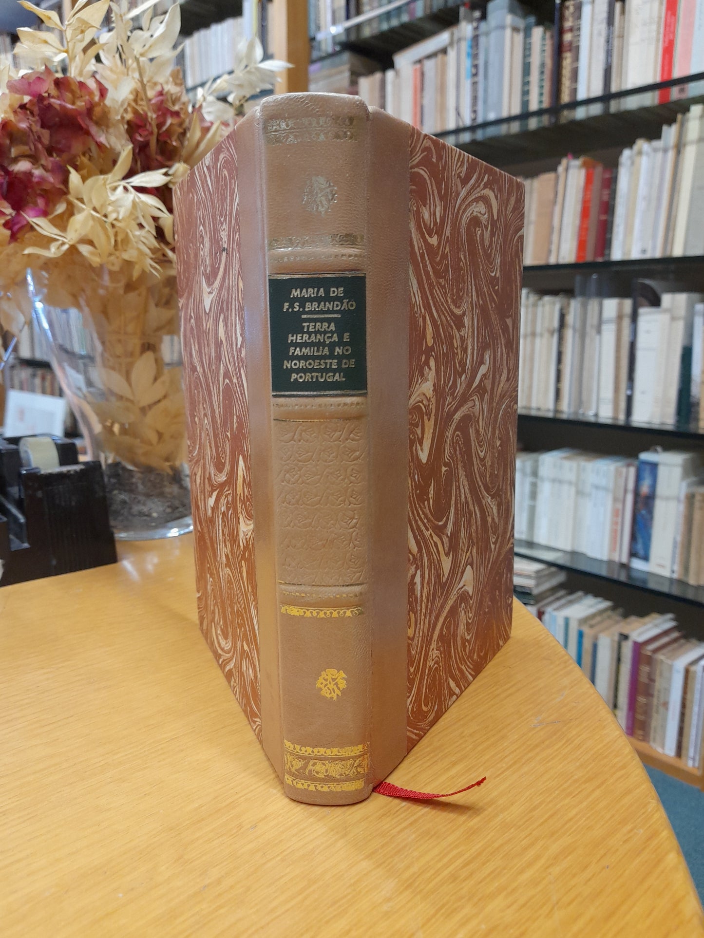 TERRA, HERANÇA E FAMÍLIA NO NOROESTE DE PORTUGAL