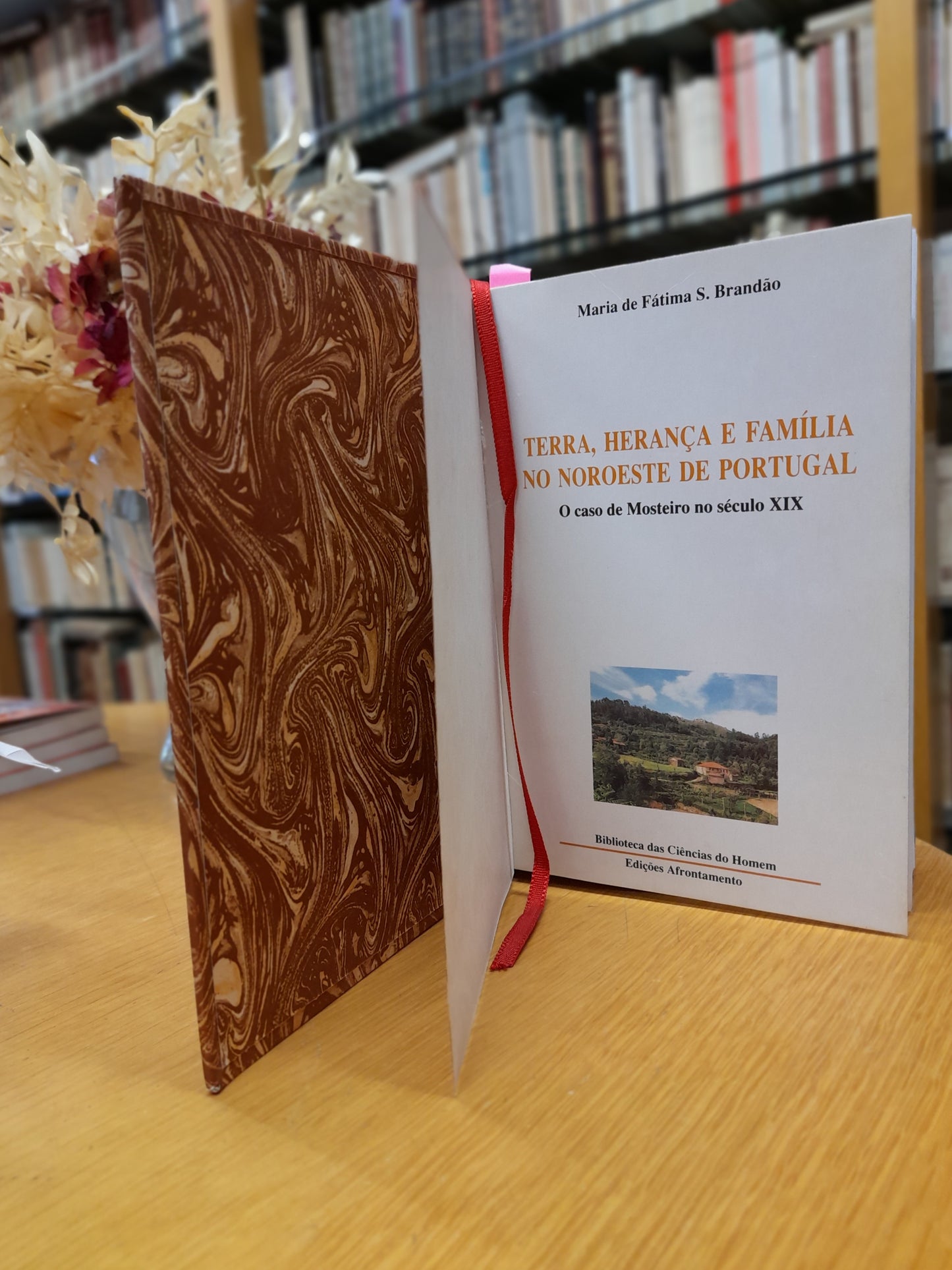 TERRA, HERANÇA E FAMÍLIA NO NOROESTE DE PORTUGAL