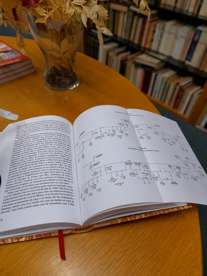 TERRA, HERANÇA E FAMÍLIA NO NOROESTE DE PORTUGAL