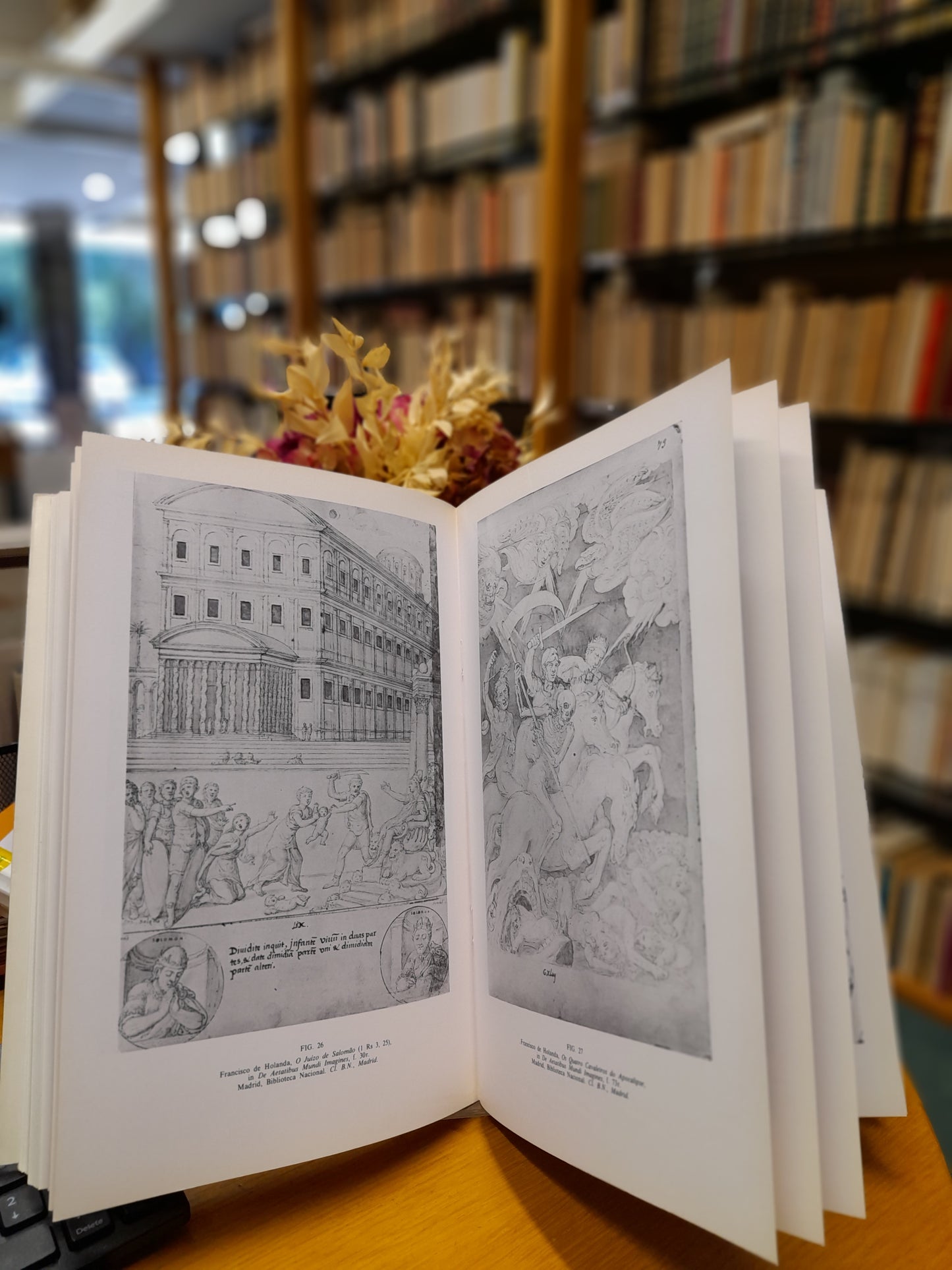 AS IMAGENS DAS IDADES DO MUNDO DE FRANCISCO DE HOLANDA