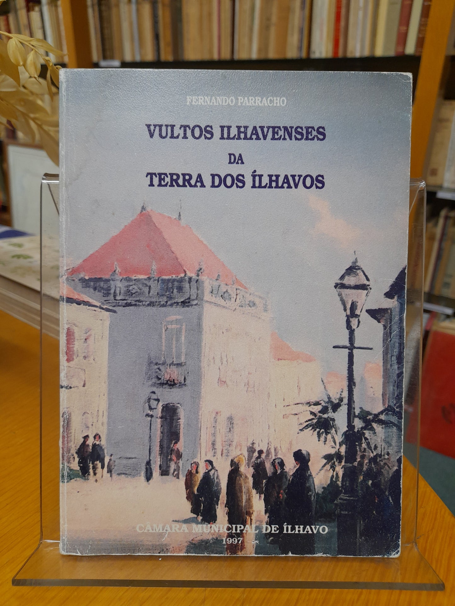 VULTOS ILHAVENSES DA TERRA DOS ÍLHAVOS