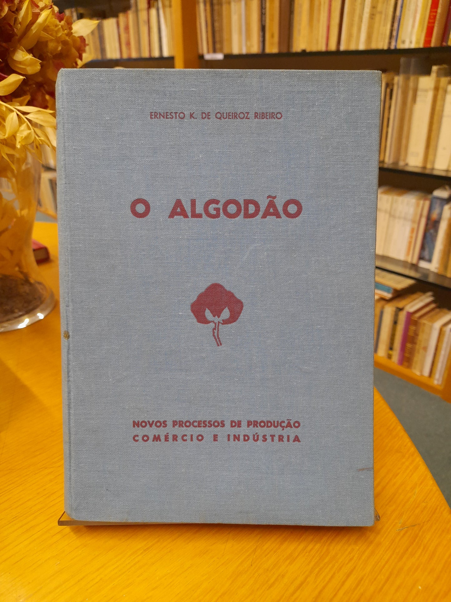 O ALGODÃO