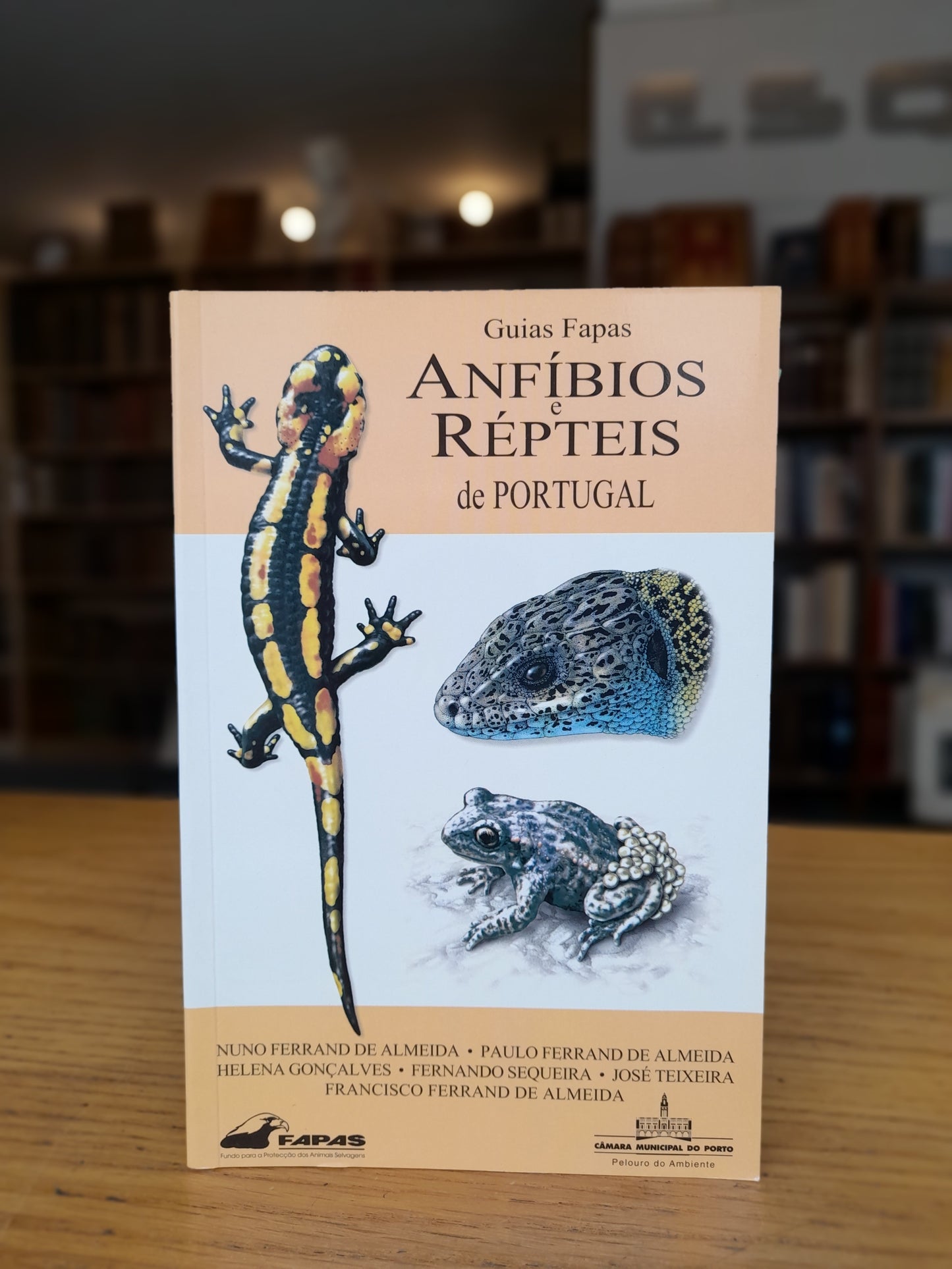 ANFÍBIOS E RÉPTEIS DE PORTUGAL