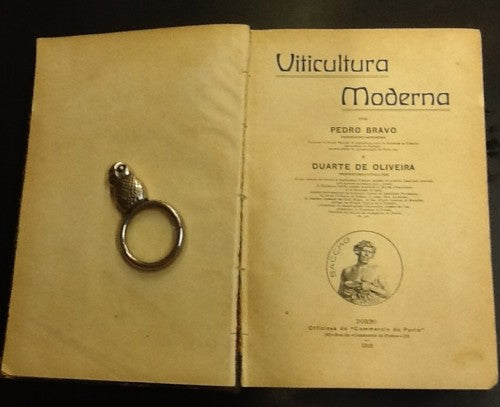 VITICULTURA MODERNA